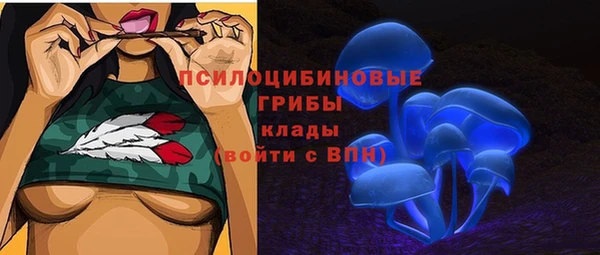 гашик Алексеевка