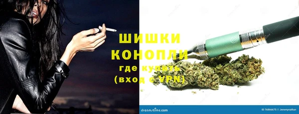 мдпв Сафоново