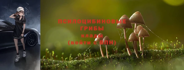 ALPHA PVP Алзамай
