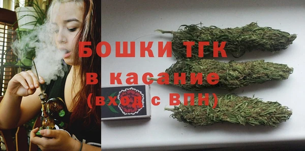 гашик Алексеевка