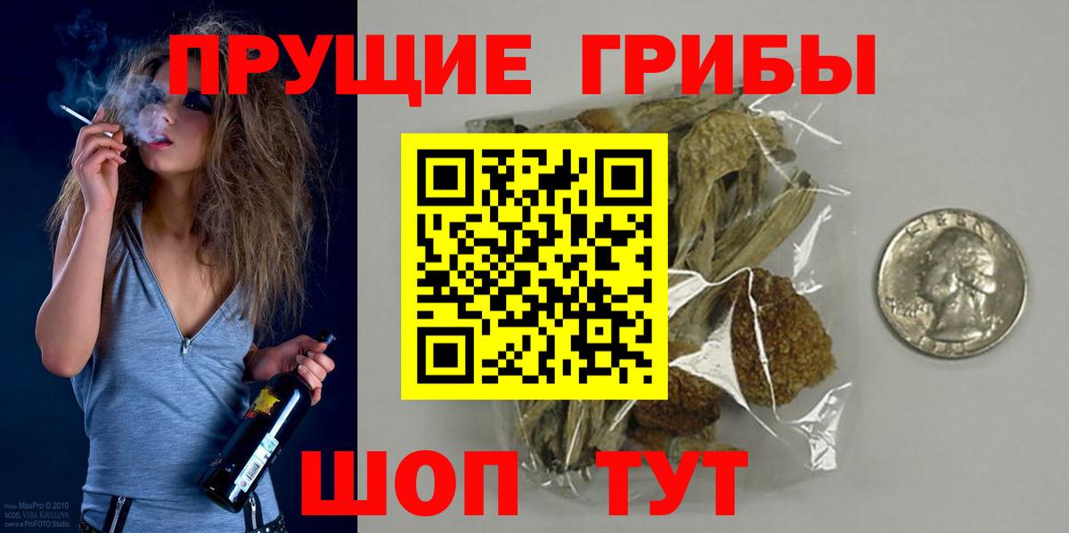 Псилоцибиновые грибы Psilocybe Заинск