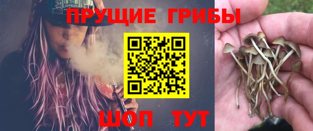 Галлюциногенные грибы Cubensis  Галлюциногенные грибы Psilocybine cubensis  Вход с VPN  Заинск 